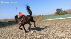 Падения с лошадей, риск конного спорта, видео из моего инстаграм.