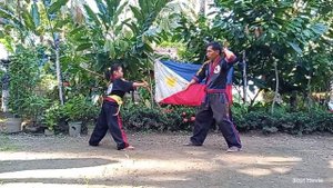 ARNIS SINAWALI | HOW TO LEARN ARNIS | KALI | ESKRIMA| MODERN ARNIS | Filipino Martial Arts