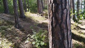 ВОЗВРАЩЕНИЕ на оз. Бараус