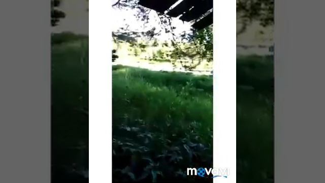 Солонцы в июне, заполнение солонцов 2019 смотреть онлайн