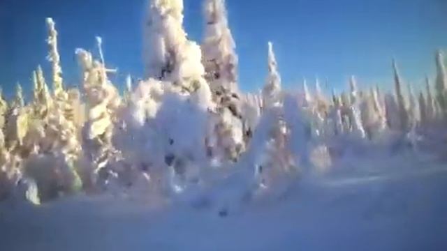 Snowscooter ride Salla Finland смотреть онлайн