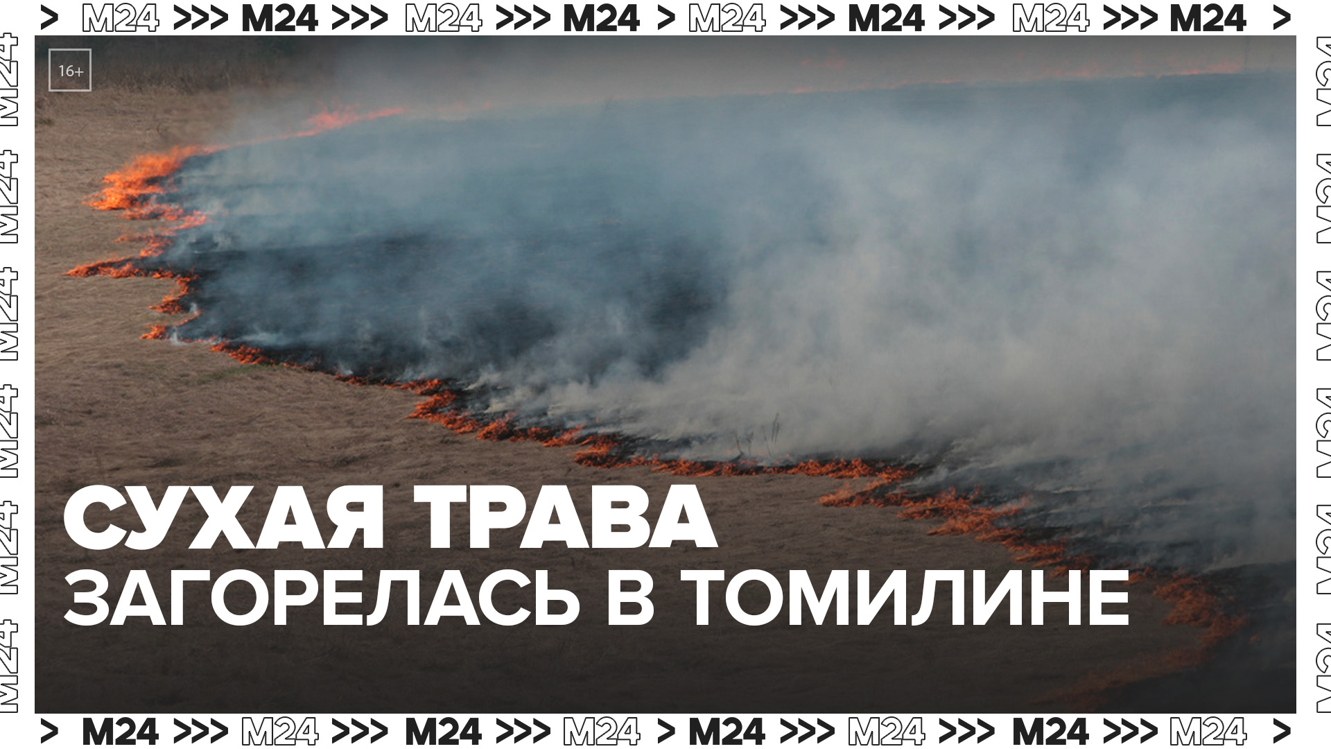 Сухая трава загорелась в подмосковном Томилине - Москва 24