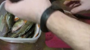 Секрет раскрыт! Самая вкусная Таранка из окуня по этому рецепту.