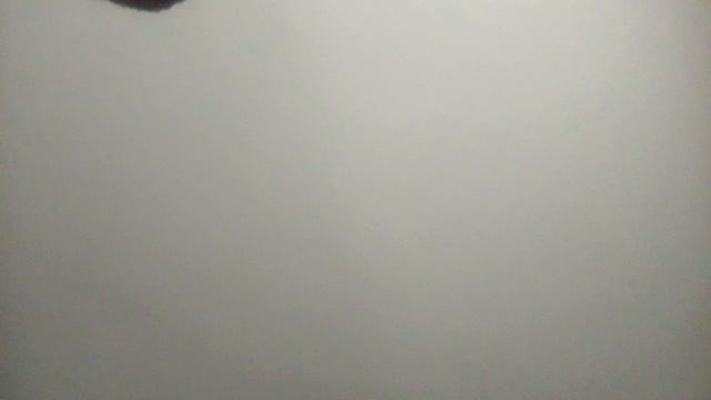 VID_20240502_170824.mp4