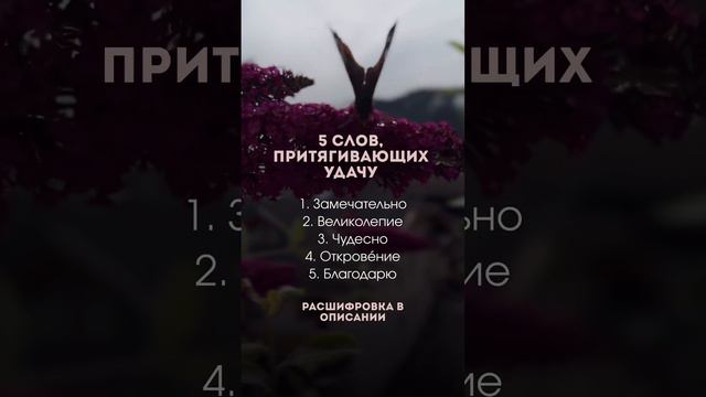 Расшифровку написала в описании🙏🏼 #энергокоуч #изобилие #жизнь #энергия