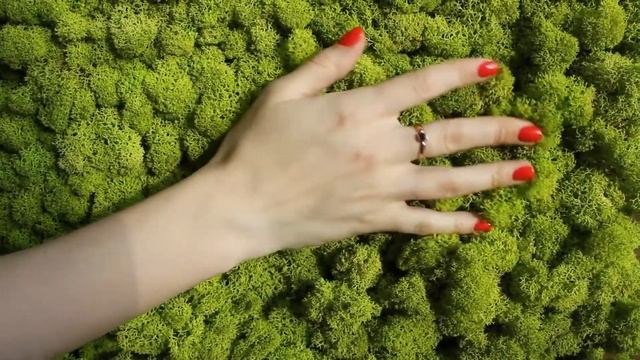 Стабилизированный мох Ягель смотреть онлайн