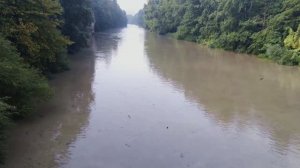 Река Псекупс. Разлив реки Псекупс. Full HD1080р  60fps. Летние пейзажи. Горячий ключ.