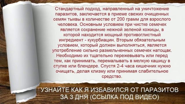 Тыквенные семечки от глистов смотреть онлайн