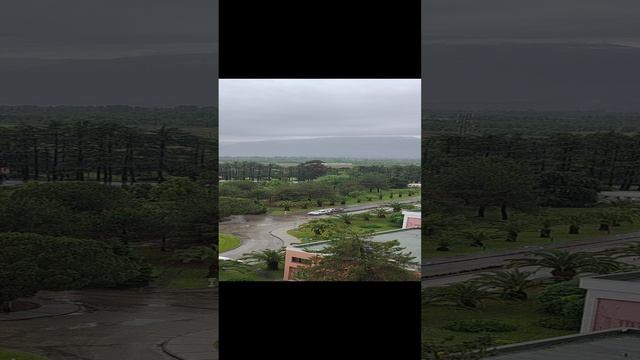 Самшитовая вид с VID20240601091507