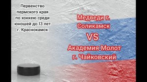 Медведи Соликамск & АКМ Чайковский 27.03.2023 14-00