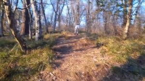 Санаторий Семашко г.Сочи. Как это было