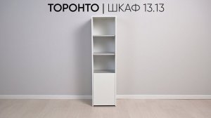 Шкаф Торонто 13.13 для детской, спальни, гостиной, прихожей