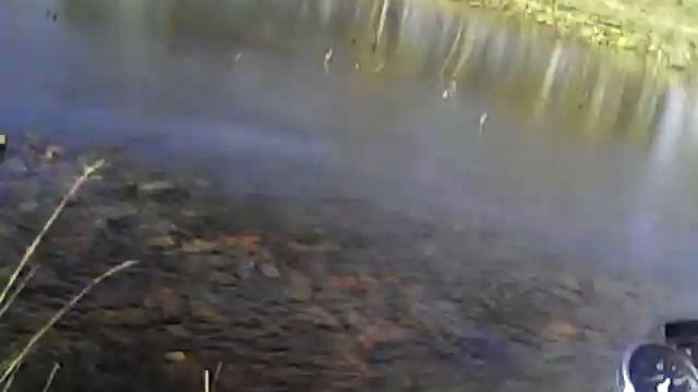 ПОСАНЫ УТОПИЛИ МОПЕД АЛЬФУ ТРЕШ СТИЛЬ ! FZM ) смотреть онлайн