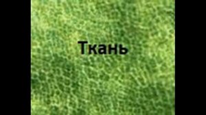 Закончи высказывания/Характеристика царства растений №3 (Биология 5 класс л/ж)