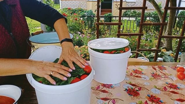 Помидоры в ведре - холодный способ. смотреть онлайн