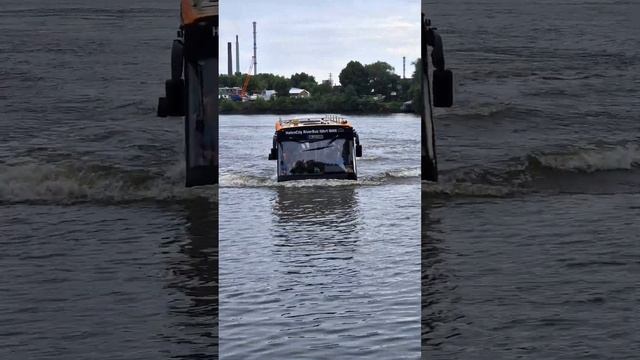 Swimbus Driving Out Of The Water