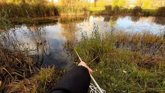 Вытащил ОБРЕЗ на Поисковый Магнит смотреть онлайн