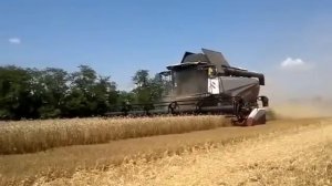 Зерноуборочный комбайн RSM 161 в поле (часть 1)