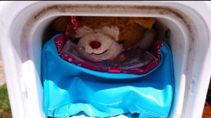 Настя и новая карета с игрушками