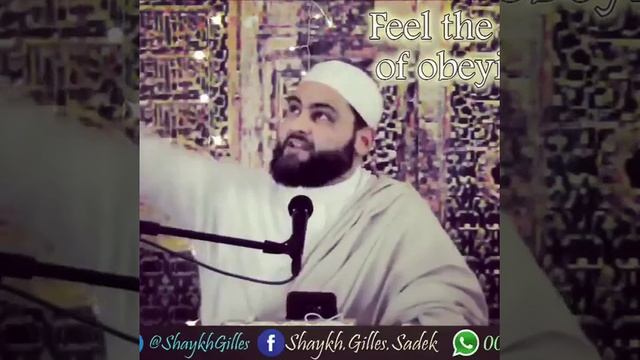 Шейх Джиль смотреть онлайн