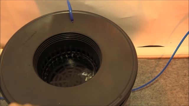 Hydroponic Tomato - San Marzano - Part 1 Getting Started смотреть онлайн