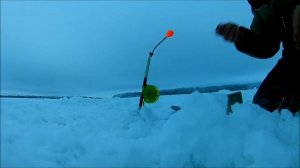 Ловля леща на комбайны.Река Обь.