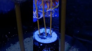 РИТУАЛ НА РАССОРКУ НА ОСТУДУ НА 3 СВЕЧИ