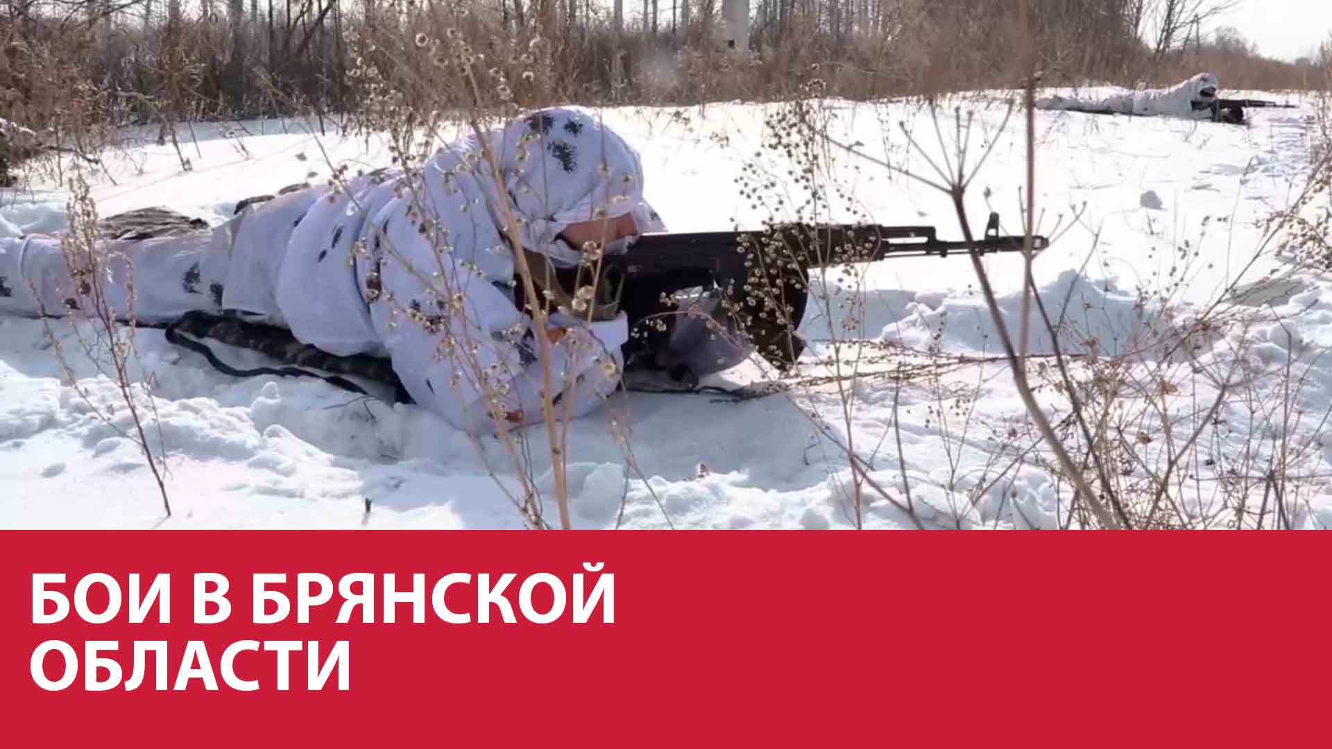 Видео стрельбы в брянской обл