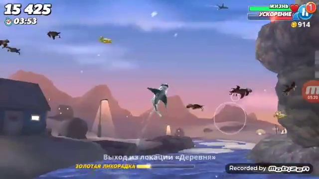 Лисья акула