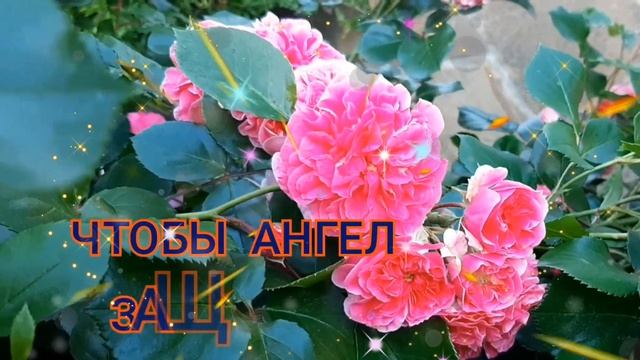 С Днём рождения, внученька!