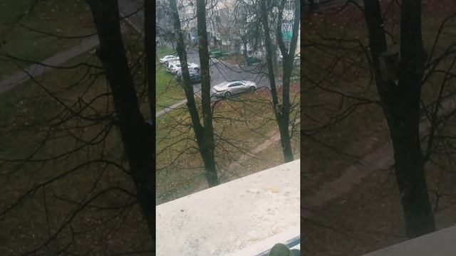 Наблюдение за птицами. Синицы и голуби. смотреть онлайн