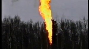 Томская нефть. Реализованный Т.В. Сомхишвили проект разработки нефтяного месторождения.