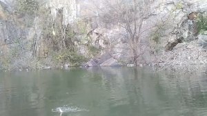 Ловля красноперки на бомбарду,в затопленом карьере