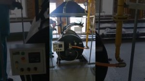 Индивидуальная кремация животных.