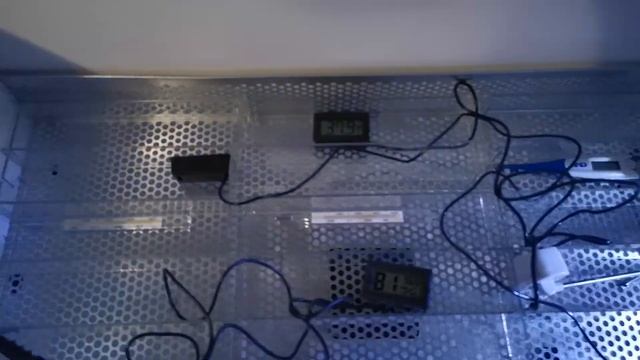 Инкубатор OVO 78 начало смотреть онлайн