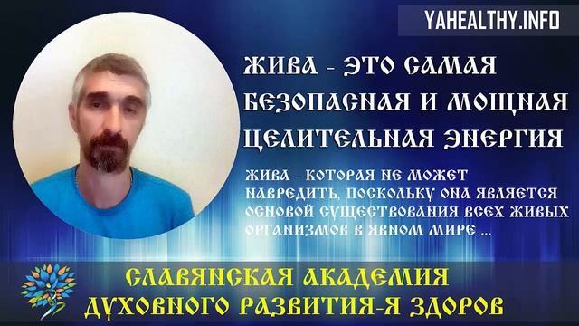 Жива – это самая безопасная и мощная целительная энергия | Славянская Школа Жива | Слово Ведагора