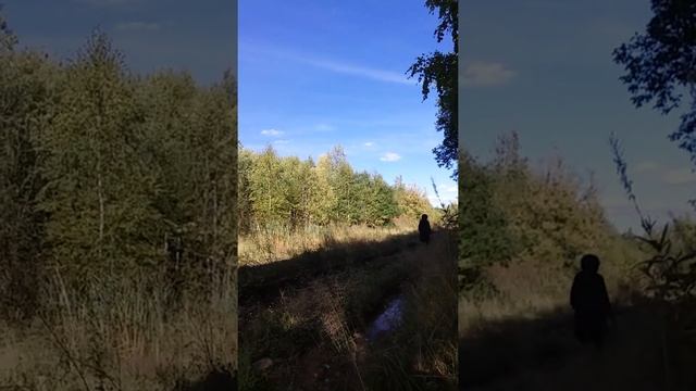 Бездорожье.Дорога домой.Пермский край.Село Нижний Пальник-село ЗАТО Звездный.Квадроцикл.