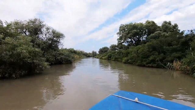 Долина лотосов. Путешествие на катере и лотосы в Ахтанизовском лимане. смотреть онлайн