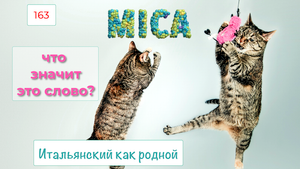 Значения наречия MICA в итальянском языке и сюрприз в конце видео – 163
