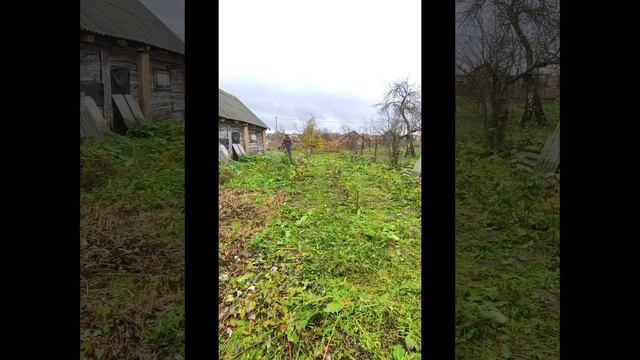 покос травы, grass cutting, уход за двором, было-стало, красота #nature смотреть онлайн