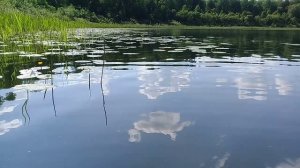 Озеро Днилово. Одно из пяти тайнственных озёр.