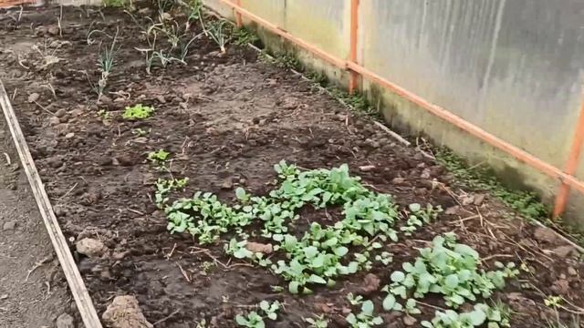 Переезд под Краснодар. Дождливое февральское утро. смотреть онлайн