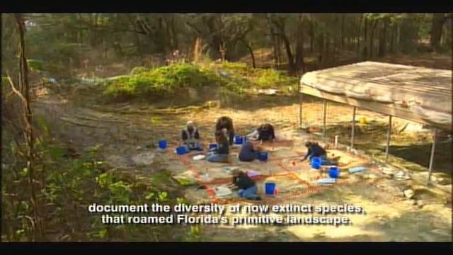 Miocene Epoch - Florida Fossils: Evolution of Life and Land