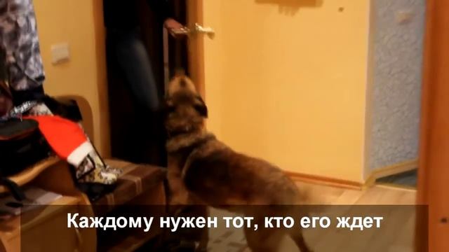 Социальный ролик "Посмотри на меня..." смотреть онлайн