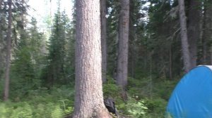 74 Серия Ночь и Утро в Тайге в Работе, Посолка Рыбы, Костер, Ночлег