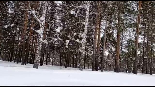 Вот так кормят нас ужином в санаторий Глуховская.Лечебный воздух и красота санаторий. смотреть онлайн