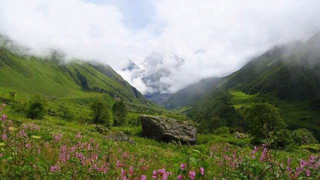 Valley of Flowers National Park | Wikipedia audio article смотреть онлайн