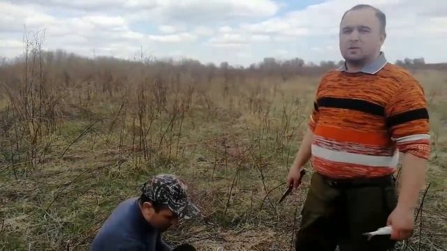 Вобла на Чурке 2018гг