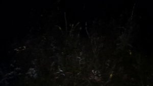 НАТАСКА, ПРИТРАВКА ЛАЕК В МЕЖСЕЗОНЬЕ.