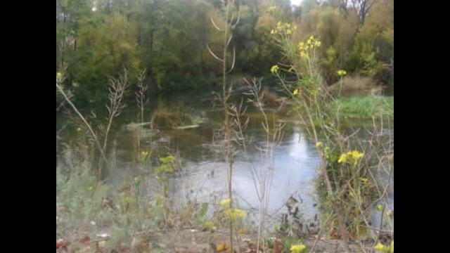 О природе Белгородской Земли смотреть онлайн